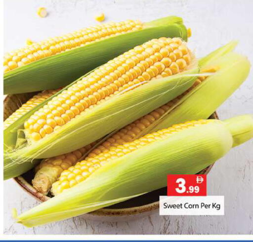 available at جلف هايبرماركت ذ.م.م in الإمارات العربية المتحدة , الامارات - رَأْس ٱلْخَيْمَة