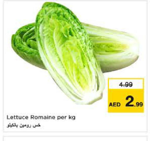 Lettuce available at Last Chance  in UAE - Fujairah