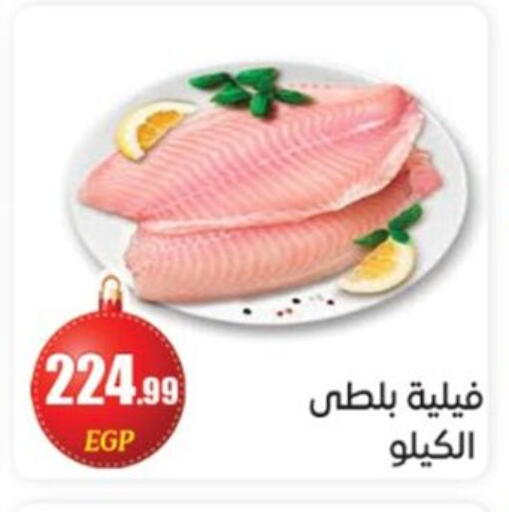 available at El mhallawy Sons in Egypt - Cairo