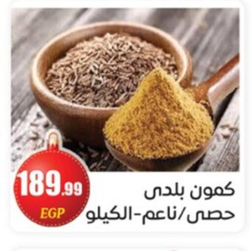 available at أولاد المحاوى in Egypt - القاهرة