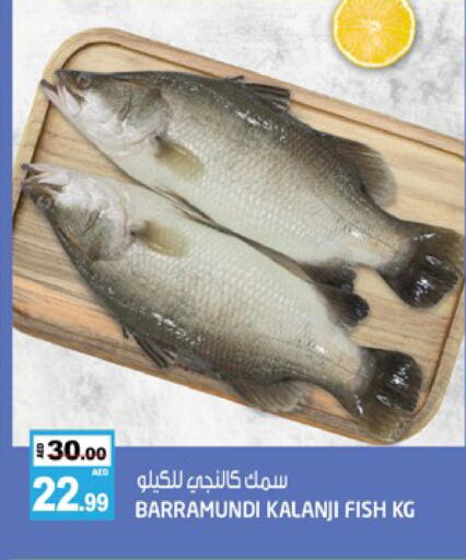 available at هاشم هايبرماركت in الإمارات العربية المتحدة , الامارات - الشارقة / عجمان