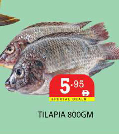 available at زين مارت سوبرماركت in الإمارات العربية المتحدة , الامارات - رَأْس ٱلْخَيْمَة