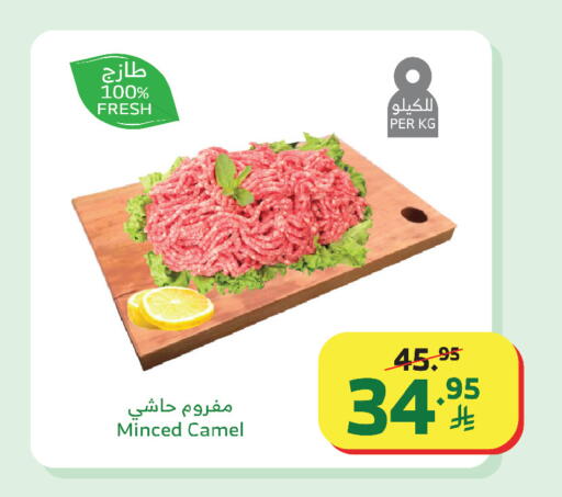 available at الراية in مملكة العربية السعودية, السعودية, سعودية - بيشة