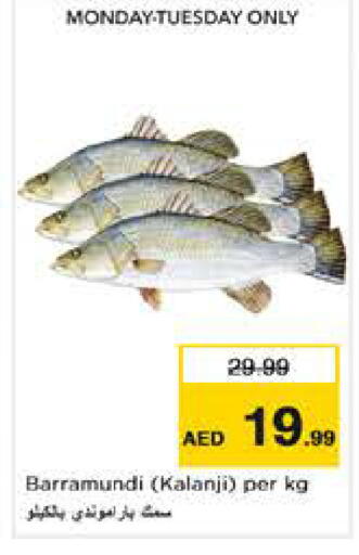 available at نستو هايبرماركت in الإمارات العربية المتحدة , الامارات - أبو ظبي