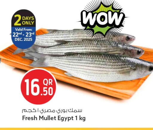 available at سفاري هايبر ماركت in قطر - الوكرة
