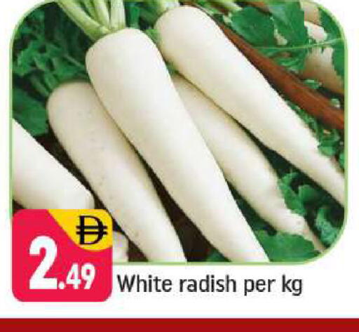 Radish available at شكلان ماركت in الإمارات العربية المتحدة , الامارات - دبي