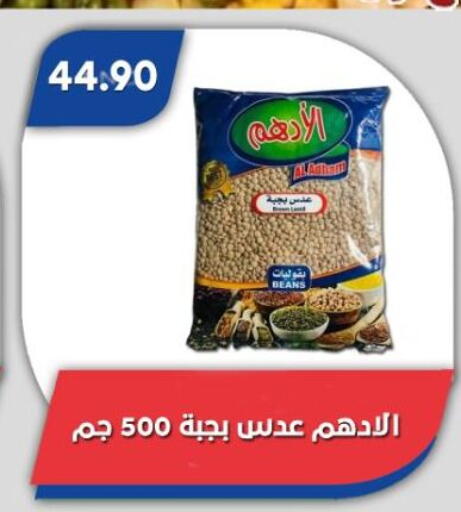 available at باسم ماركت in Egypt - القاهرة