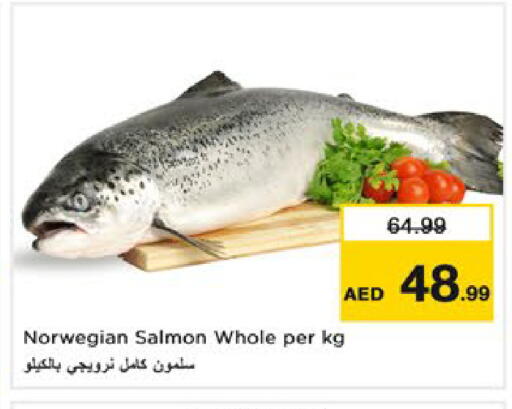 available at نستو هايبرماركت in الإمارات العربية المتحدة , الامارات - دبي