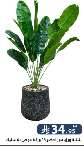 available at تخفيضات العائلة in مملكة العربية السعودية, السعودية, سعودية - الرياض