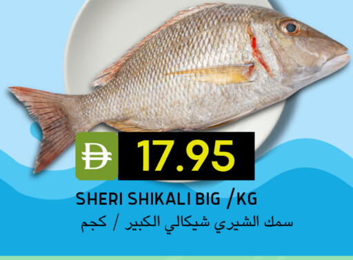 available at سيليكت ماركت in الإمارات العربية المتحدة , الامارات - أبو ظبي