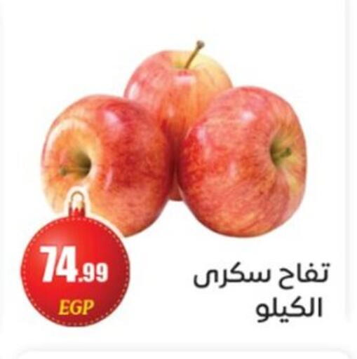 available at أولاد المحاوى in Egypt - القاهرة