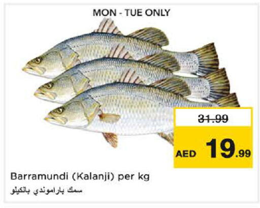 available at نستو هايبرماركت in الإمارات العربية المتحدة , الامارات - الشارقة / عجمان