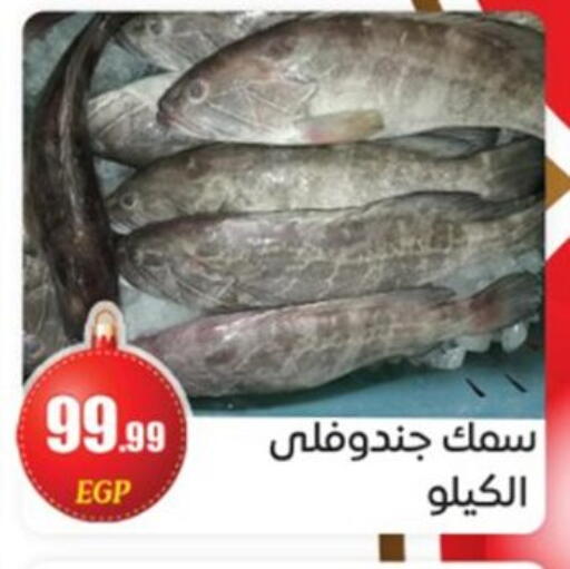 available at أولاد المحاوى in Egypt - القاهرة