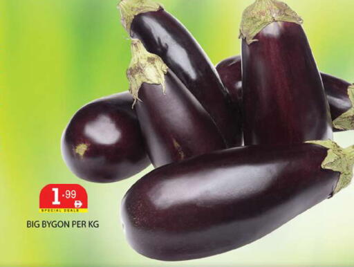 available at زين مارت سوبرماركت in الإمارات العربية المتحدة , الامارات - رَأْس ٱلْخَيْمَة