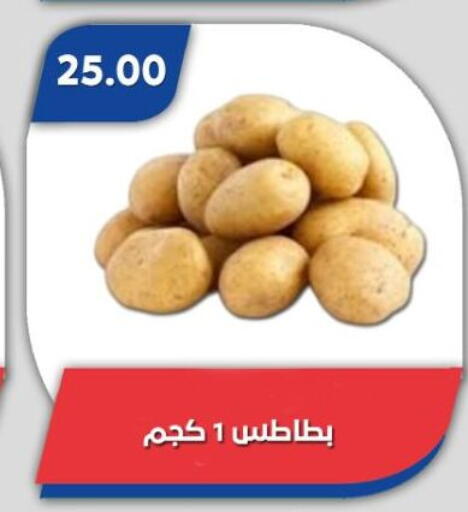 available at باسم ماركت in Egypt - القاهرة