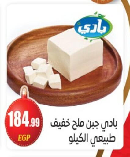 available at أولاد المحاوى in Egypt - القاهرة