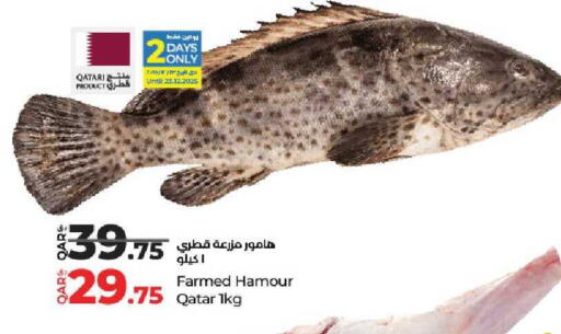 available at لولو هايبرماركت in قطر - الدوحة