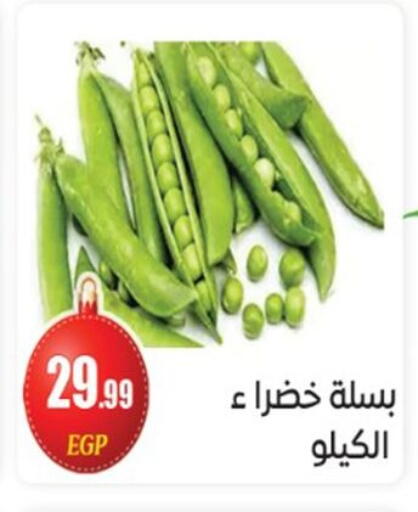 available at أولاد المحاوى in Egypt - القاهرة