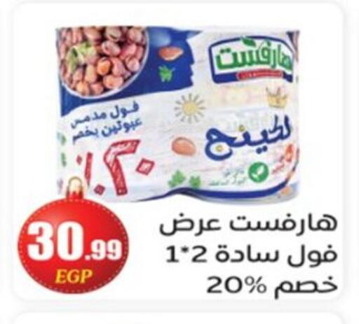 available at El mhallawy Sons in Egypt - Cairo