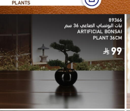 available at ساكو in مملكة العربية السعودية, السعودية, سعودية - الخرج