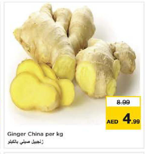 Ginger available at Last Chance  in UAE - Fujairah