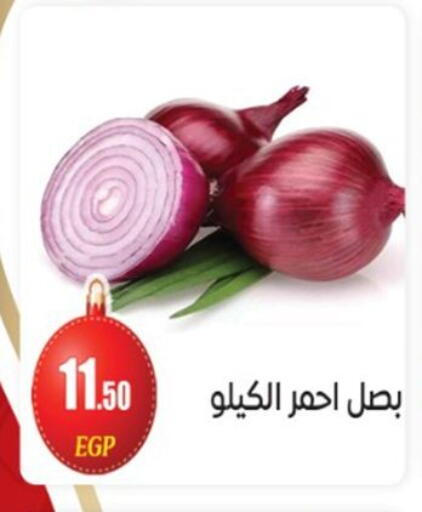 available at El mhallawy Sons in Egypt - Cairo