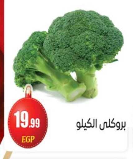 available at أولاد المحاوى in Egypt - القاهرة