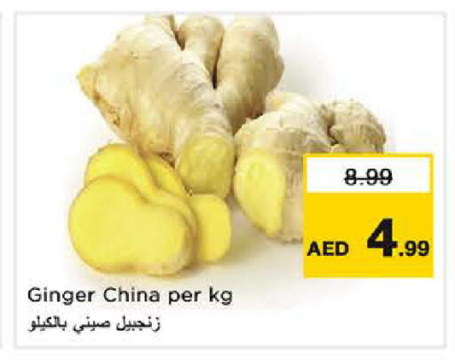 Ginger from China available at نستو هايبرماركت in الإمارات العربية المتحدة , الامارات - الشارقة / عجمان