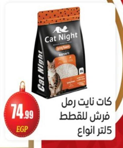 available at أولاد المحاوى in Egypt - القاهرة