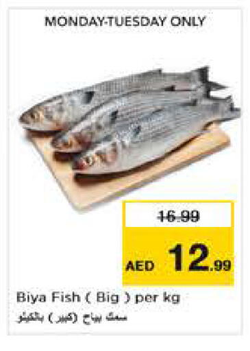 available at نستو هايبرماركت in الإمارات العربية المتحدة , الامارات - أبو ظبي