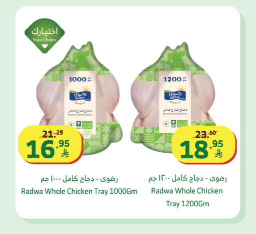 available at الراية in مملكة العربية السعودية, السعودية, سعودية - القنفذة