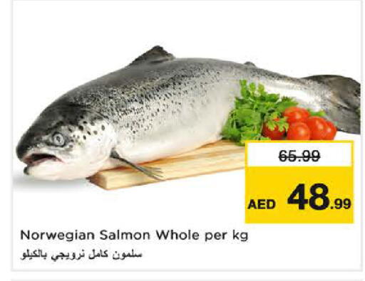 available at نستو هايبرماركت in الإمارات العربية المتحدة , الامارات - الشارقة / عجمان