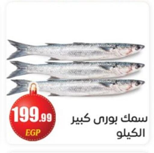available at أولاد المحاوى in Egypt - القاهرة