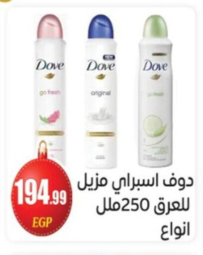 available at أولاد المحاوى in Egypt - القاهرة