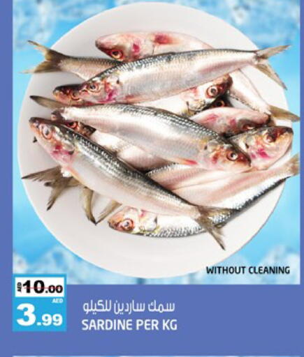 available at هاشم هايبرماركت in الإمارات العربية المتحدة , الامارات - الشارقة / عجمان