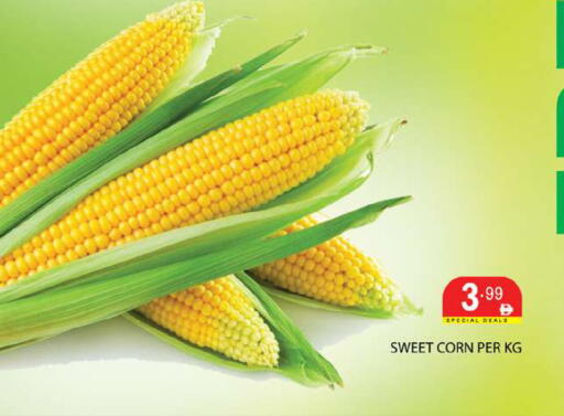 available at Zain Mart Supermarket in UAE - Ras al Khaimah