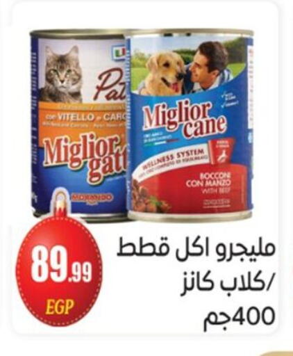 available at أولاد المحاوى in Egypt - القاهرة