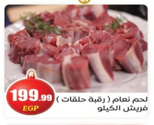 available at أولاد المحاوى in Egypt - القاهرة