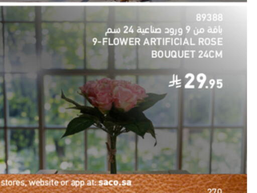 available at ساكو in مملكة العربية السعودية, السعودية, سعودية - الخرج