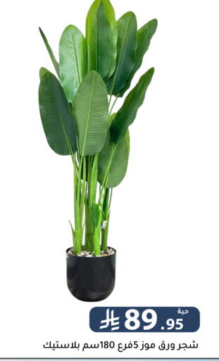 available at تخفيضات العائلة in مملكة العربية السعودية, السعودية, سعودية - الرياض