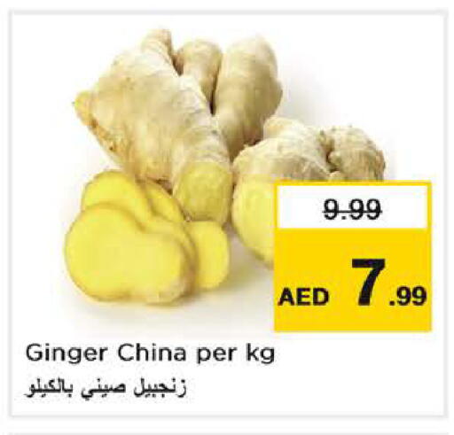 Ginger from China available at نستو هايبرماركت in الإمارات العربية المتحدة , الامارات - دبي
