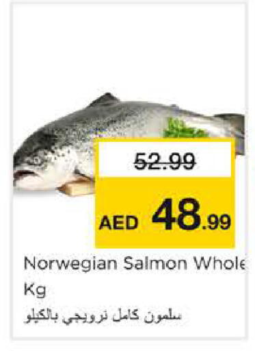 available at نستو هايبرماركت in الإمارات العربية المتحدة , الامارات - الشارقة / عجمان