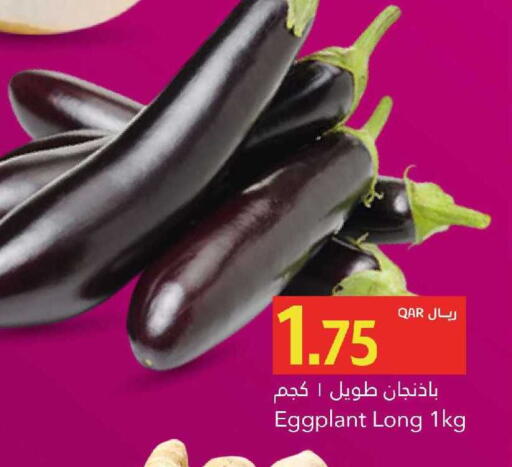 Eggplant available at جلف فود سنتر in قطر - الدوحة