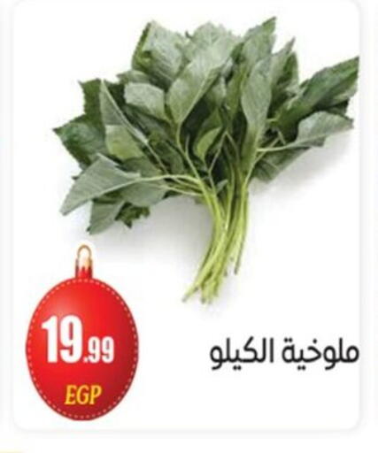 available at El mhallawy Sons in Egypt - Cairo
