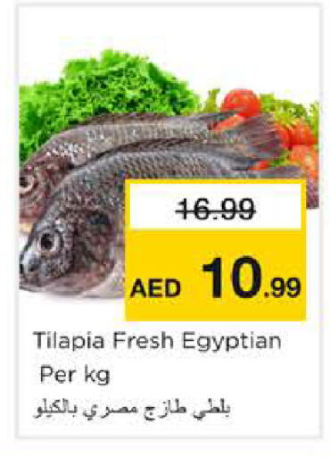 available at نستو هايبرماركت in الإمارات العربية المتحدة , الامارات - الشارقة / عجمان