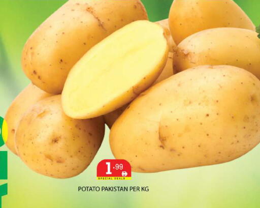 Potato from Pakistan available at زين مارت سوبرماركت in الإمارات العربية المتحدة , الامارات - رَأْس ٱلْخَيْمَة