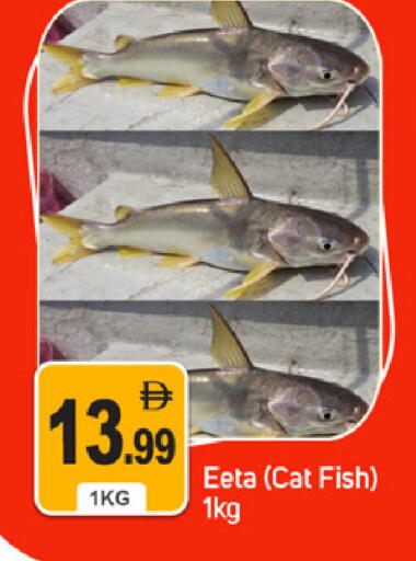 available at TALAL MARKET in UAE - Dubai