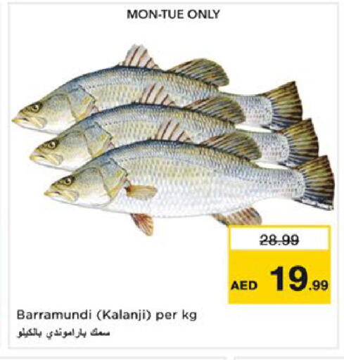 available at نستو هايبرماركت in الإمارات العربية المتحدة , الامارات - دبي