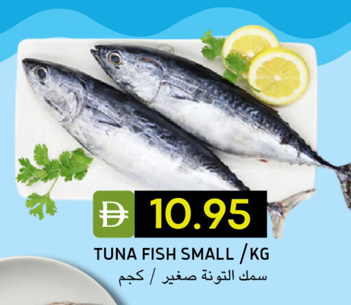 available at سيليكت ماركت in الإمارات العربية المتحدة , الامارات - أبو ظبي