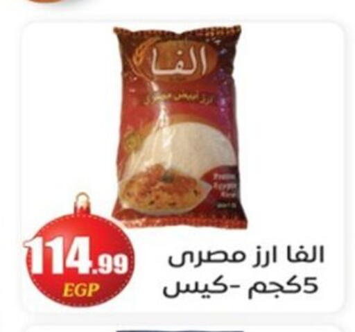 available at أولاد المحاوى in Egypt - القاهرة